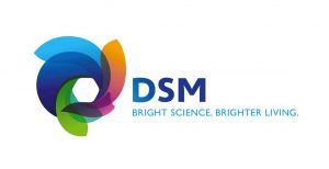 DSM